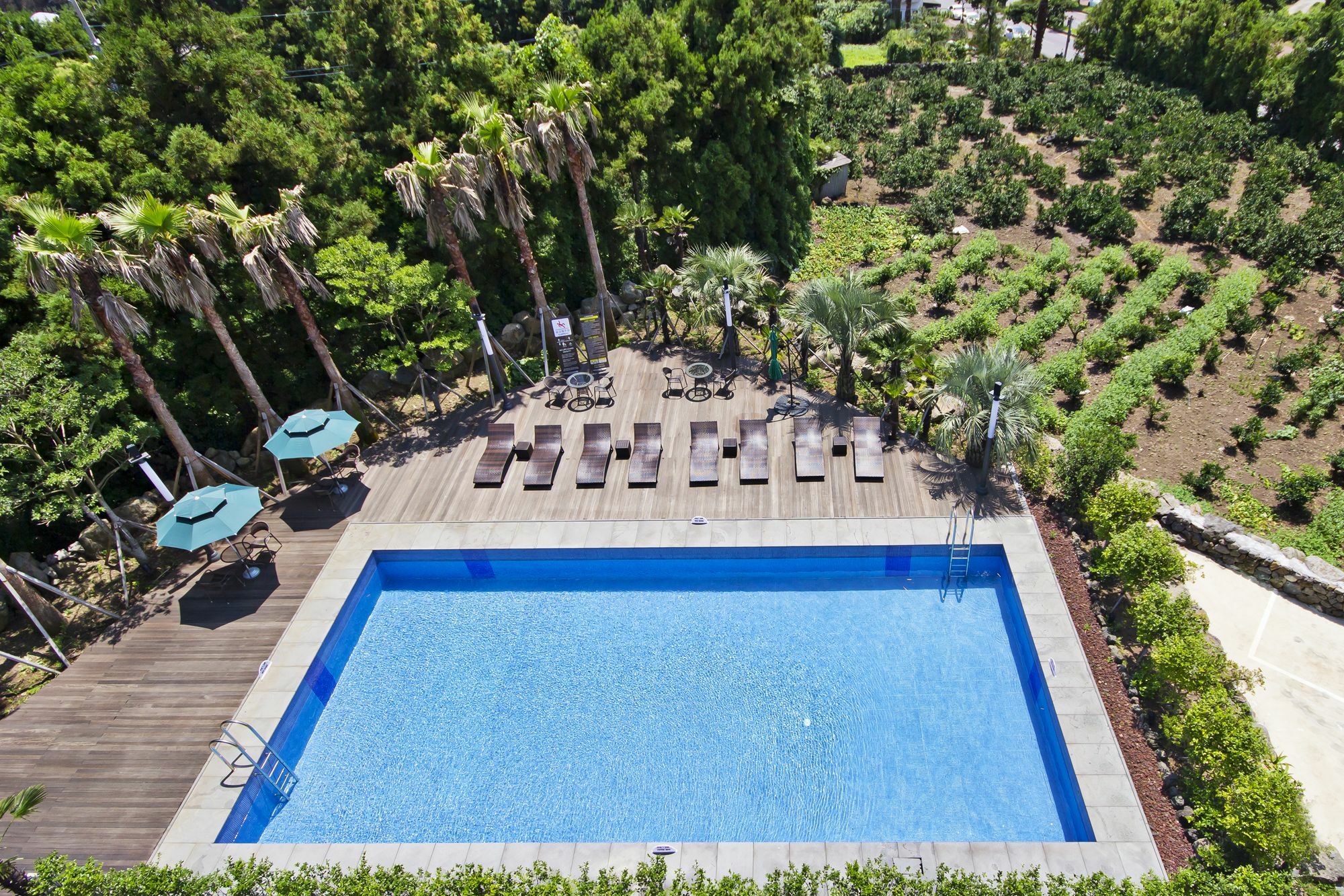 Sunrise Hotel Jungmun Branch Seogwipo Ngoại thất bức ảnh