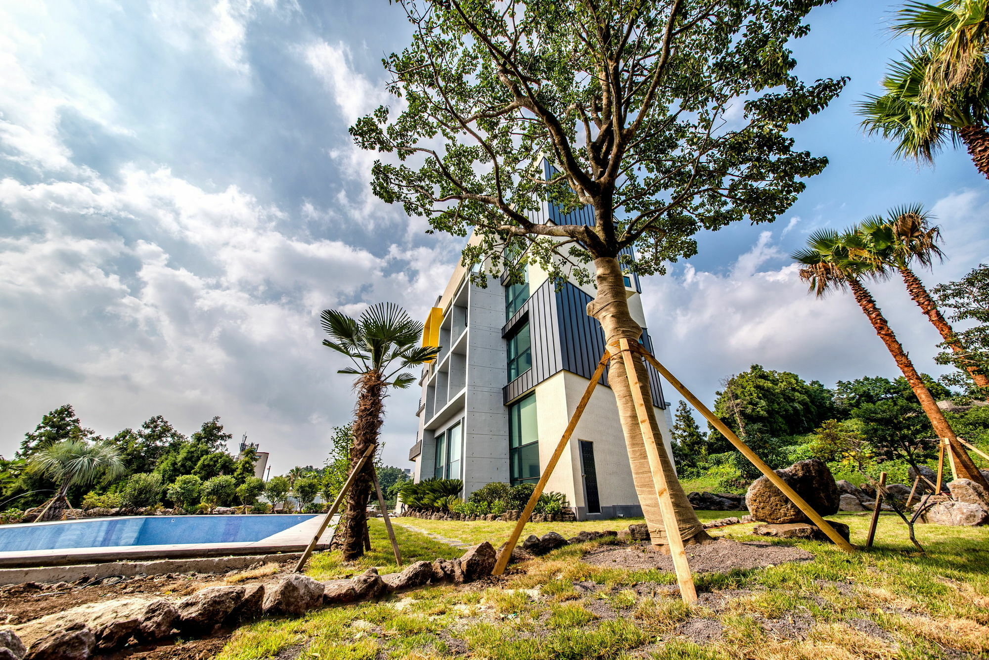 Sunrise Hotel Jungmun Branch Seogwipo Ngoại thất bức ảnh